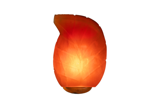 Handcrafted Natural Himalayan Mini Leaf Shape USB 800-1000g