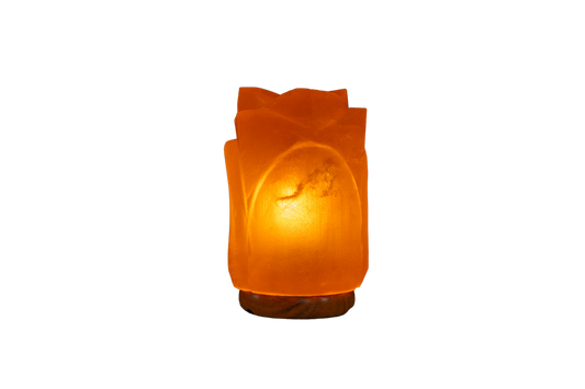 himalayan natural flower shape salt lamp